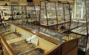 Inside the Petrie Museum, London.