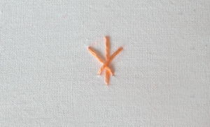The ermine stitch.