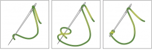 Schematic drawing of the colonial knot.
