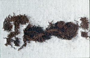 Fragment of Anglo-Saxon embroidery, from Kempston cemetery, Bedfordshire, England, 7th century.