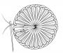 Schematic drawing of a buttonhole eyelet.