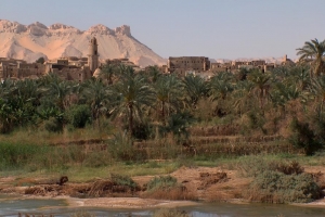 Dakhla Oasis, Western Desert, Egypt.