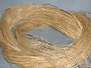 Natural ramie fibres.