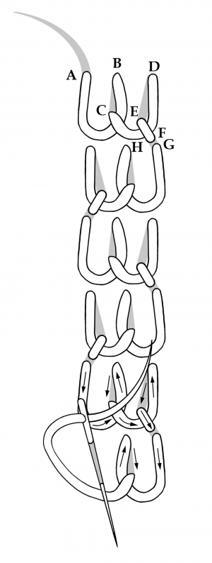 Schematic drawing of the blanket and stem stitch.
