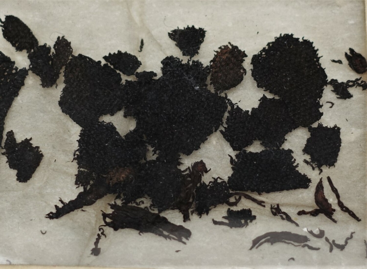 Fig. 3. Close up of the Çatalhöyük fragments (TRC 2000.0018).