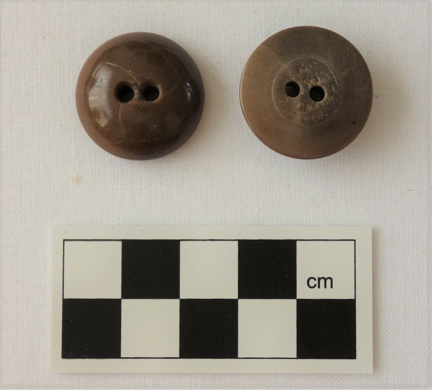 Pair of buttons made from the corozon nut, with a carved leather design. The Netherlands, 1930s (TRC 2018.1768a b).