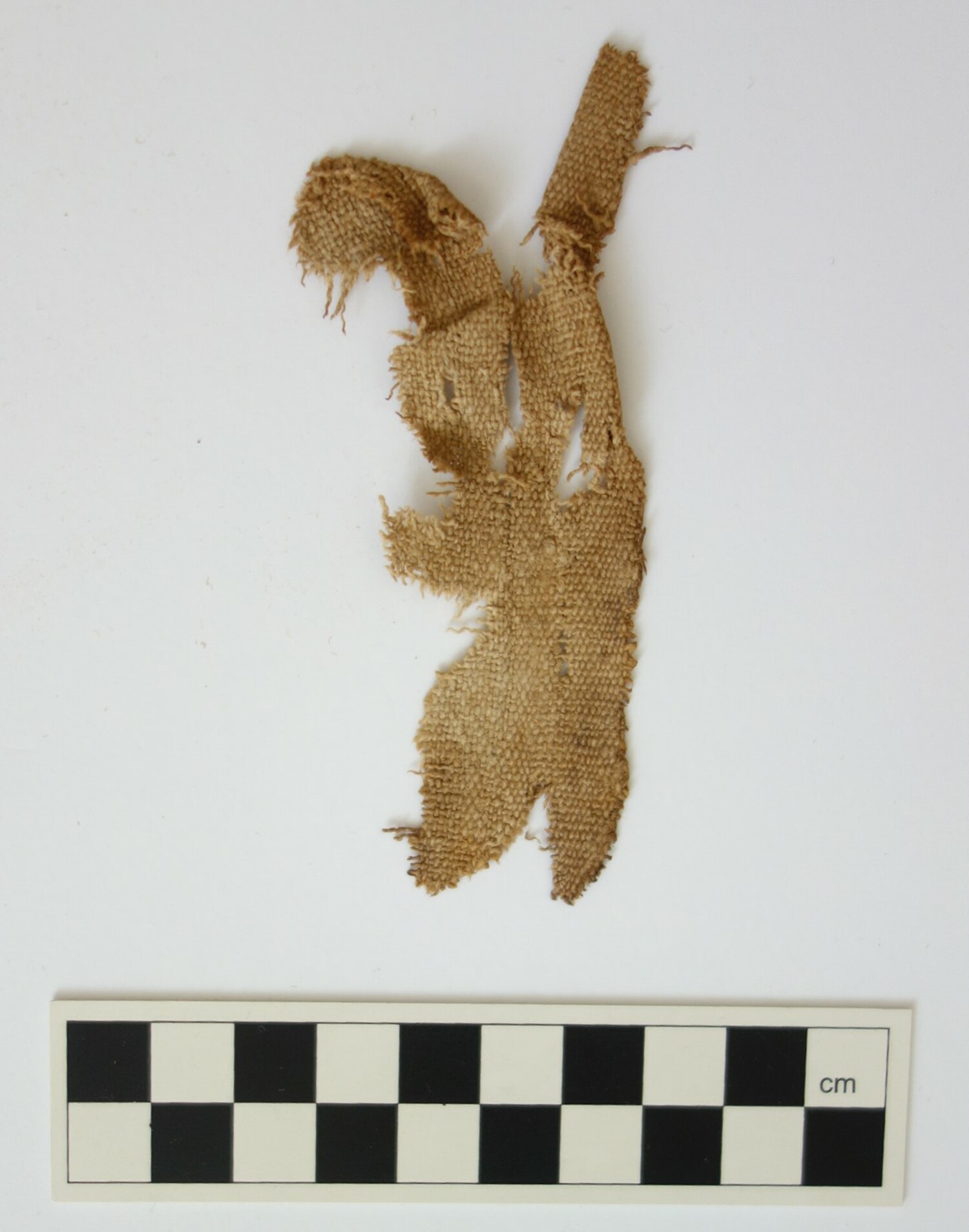 Cloth fragment from Qumran, Dead Sea, collected by Grace Crowfoot. Westbank, c. 100 AD (TRC 2019.2423).