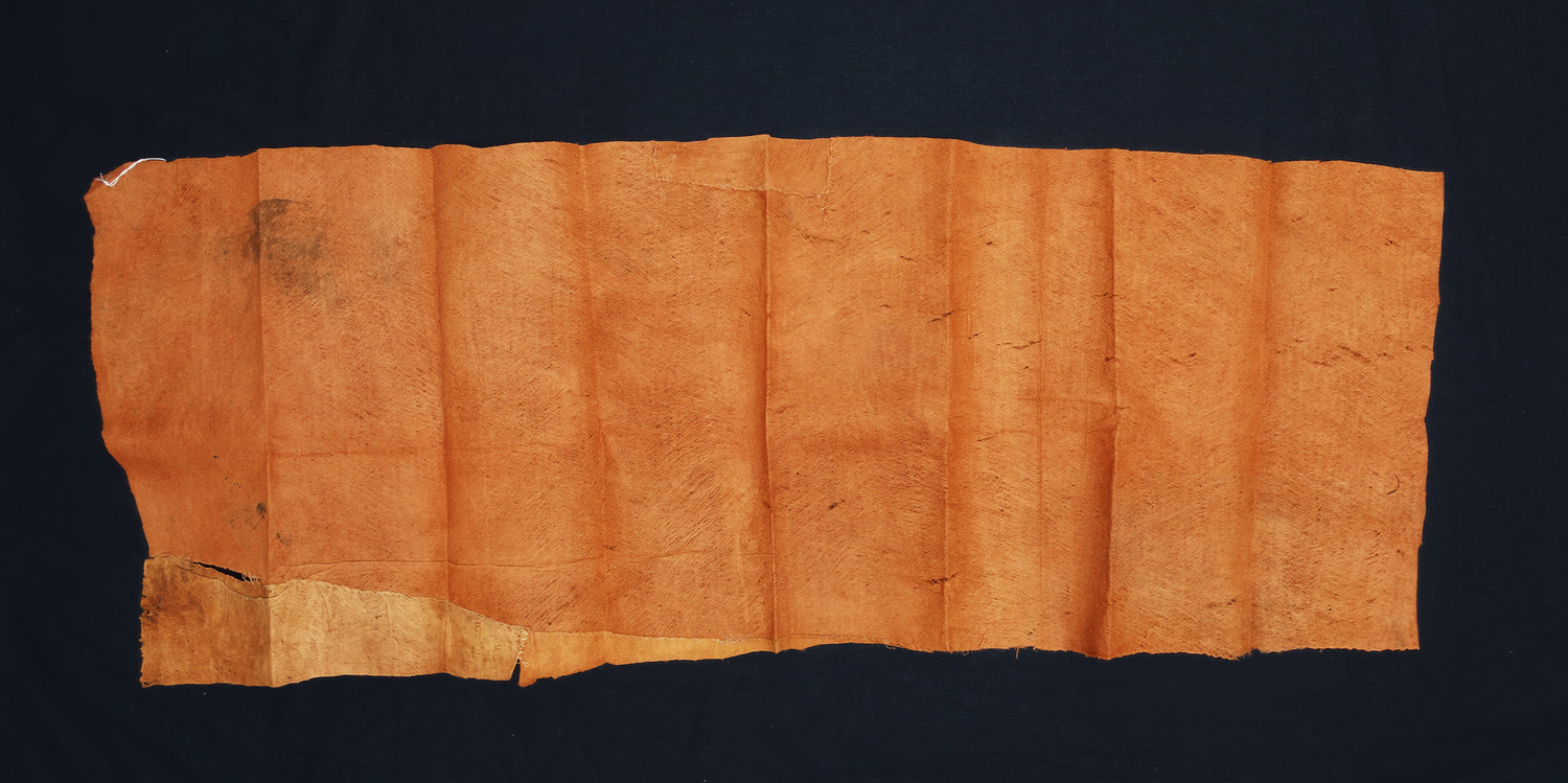 Large sheet of bark cloth (130 x 49 cm) from Uganda, now in the TRC collection (TRC 2021.0960).