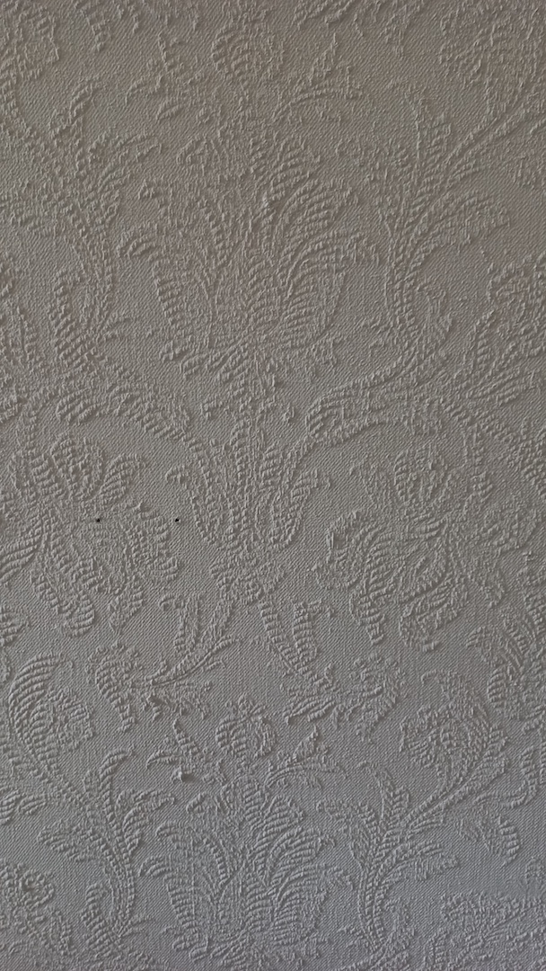 Fig. 2. Detail of the textured cloth covering of one of the walls in the main hall of Boerhaavelaan 6.