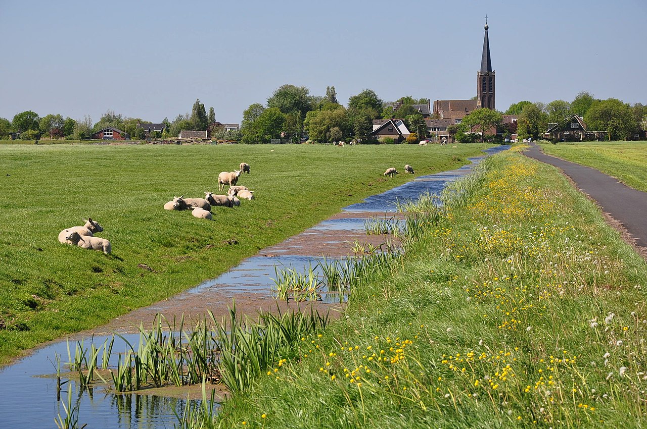 Modern view from the Weipoort west towards the Zuidbuurt of Zoeterwoude. The Catholic church can be seen in the distance. Photograph open domain.