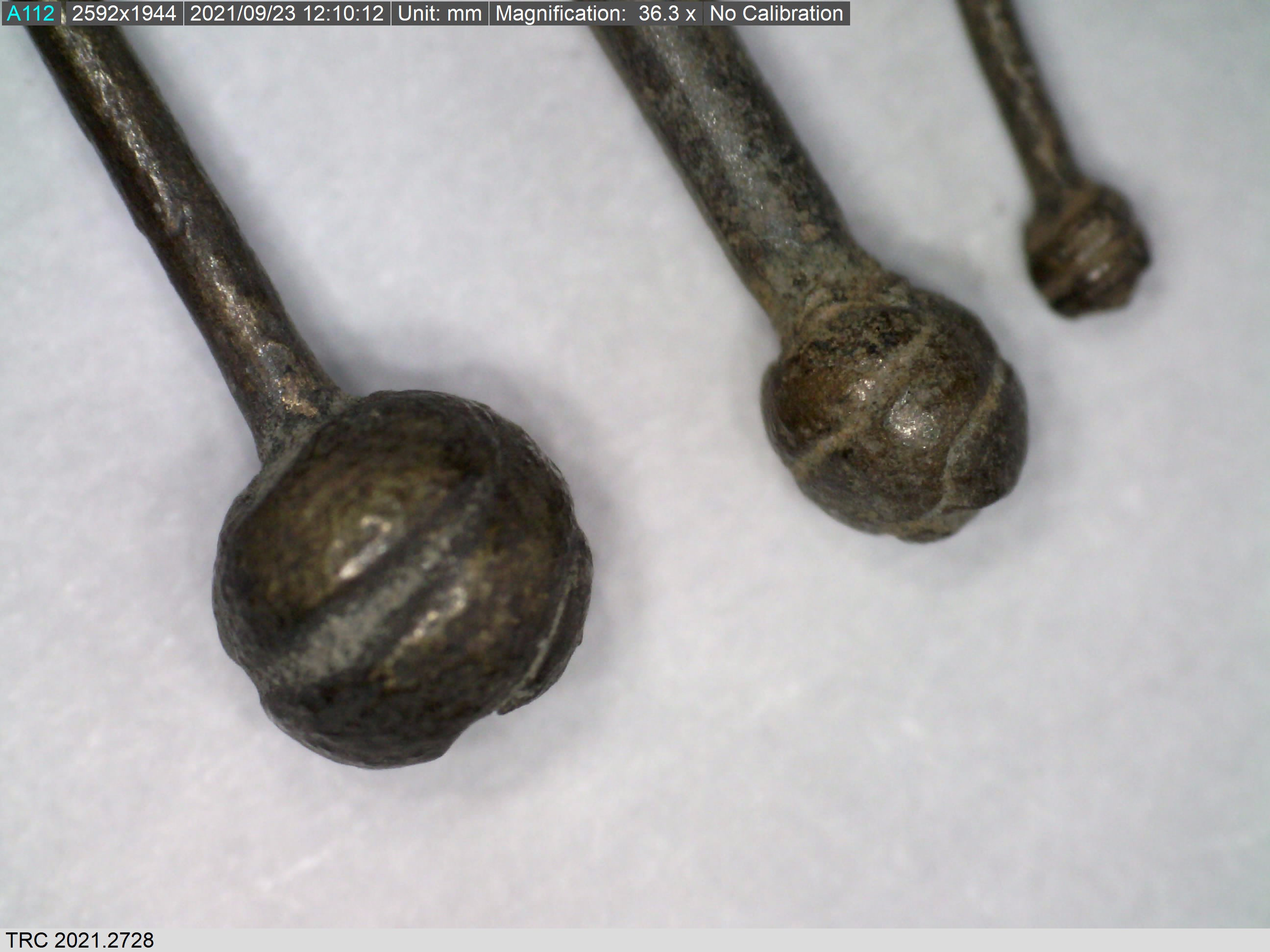 Three wire-wrapped pin heads, pre-1532, from Zeeland. 36.3 magnification, Dino-Lite microscope (TRC 2728a-b and TRC 2021.2735a).