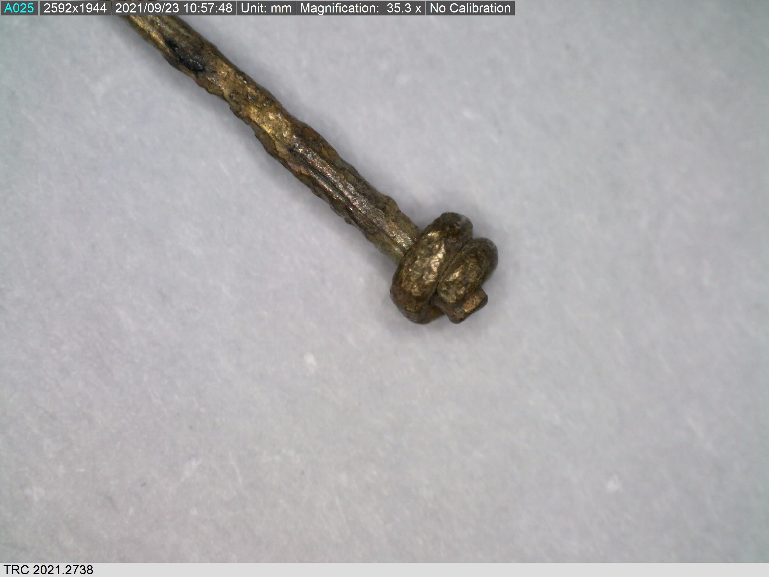 Pin with wrapped around shaft. Zeeland, pre-1532. 35.3 magnification, Dino-Lite microscope (TRC 2021.2738).