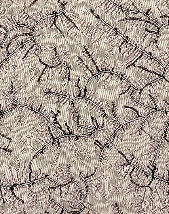 Sample of the 'Tears & Lace' pattern designed by the Darquer lace manufacturer for the Elsa Schiaparelli fashion house (2015), based on the work of the photography artist Rose-Lynn Fisher.