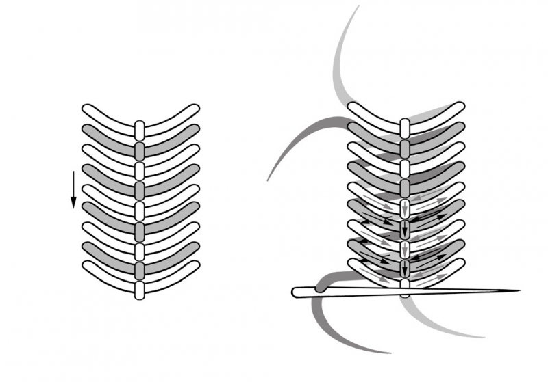 Schematic drawing of the bi-coloured fly stitch (drawing by Martin Hense).