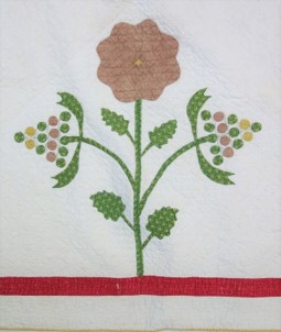Detail of an appliqué and embroidered quilt, 1840's.